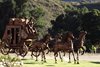 Stagecoach on Road From Temecula