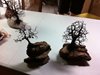 Trees Made by Students