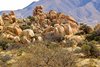 Near Tombstone, AZ