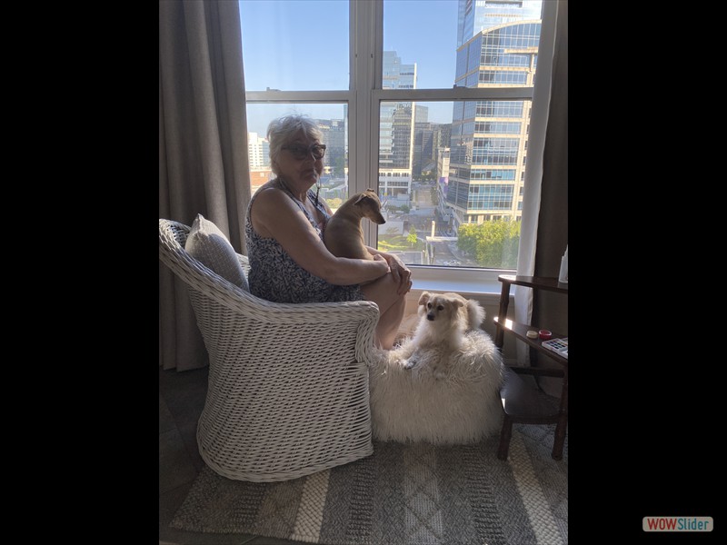 Deb in Bedroom with Lucy and Karma